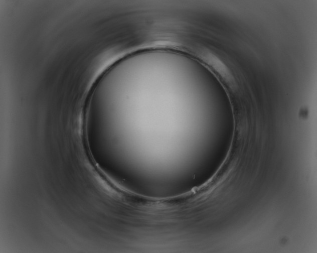 X0000102541420200808081511