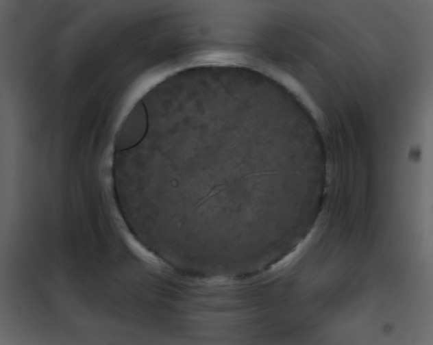 X0000102541421200808081511