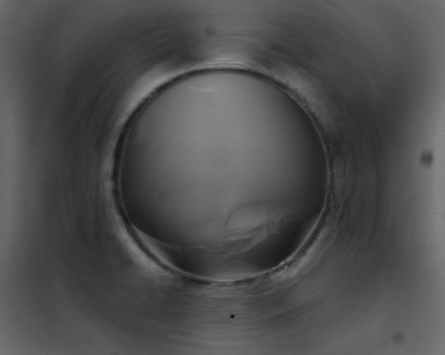 X0000102541422200808081511