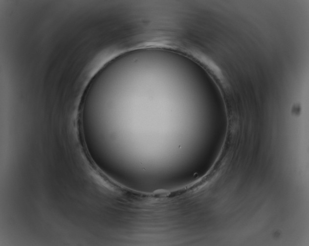 X0000102541423200808081511