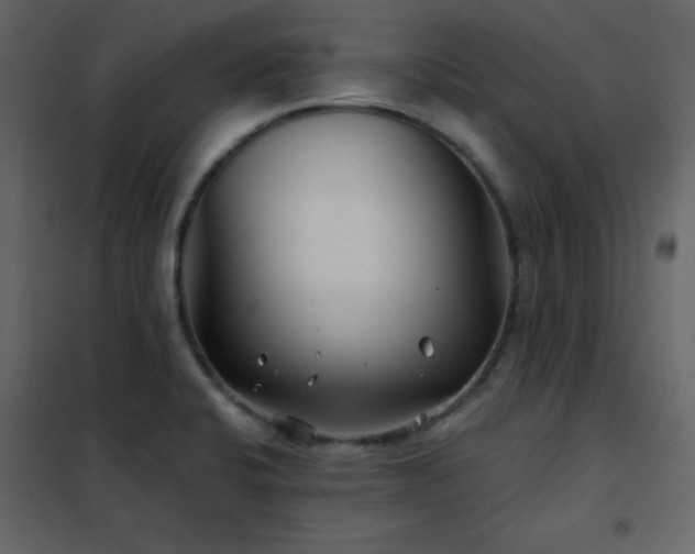 X0000102541424200808081511