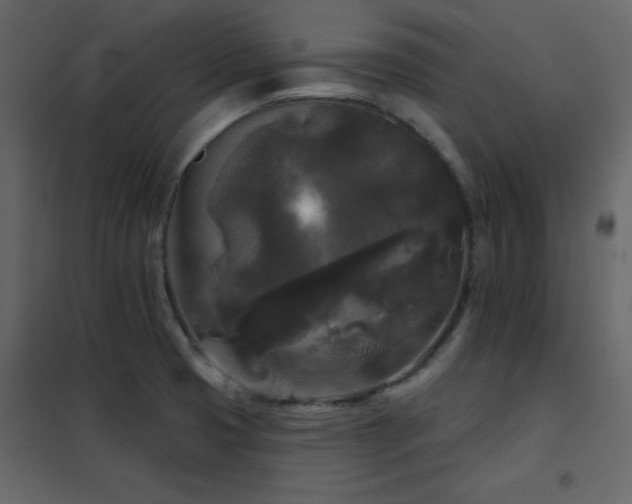 X0000102541425200808081511