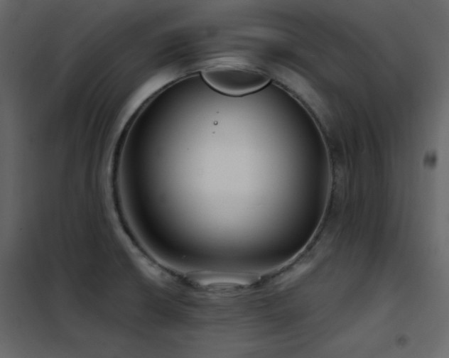 X0000102541426200808081511