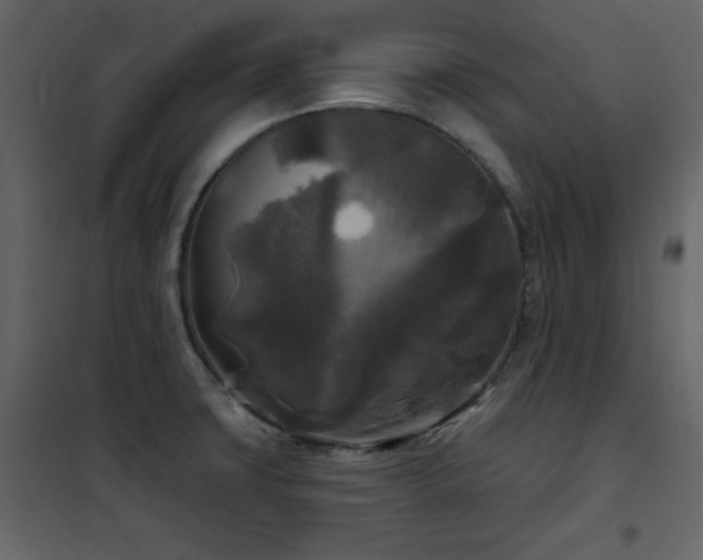 X0000102541427200808081511