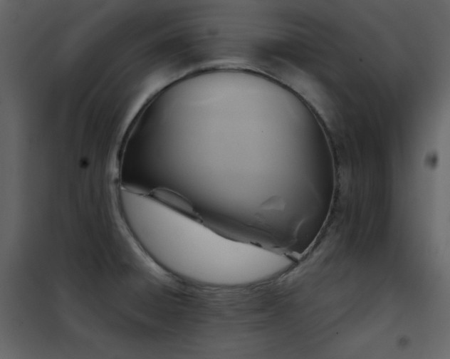 X0000102541428200808081511