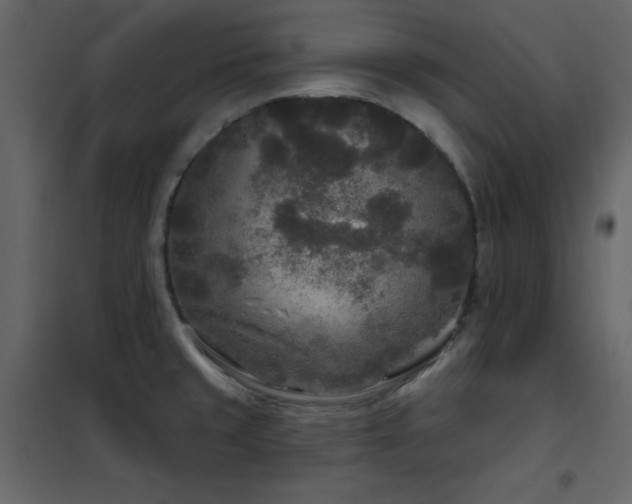 X0000102541429200808081511