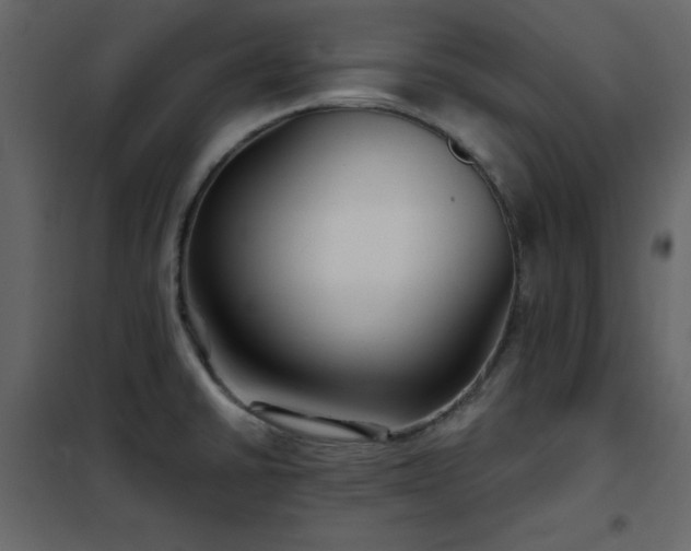 X0000102541430200808081511