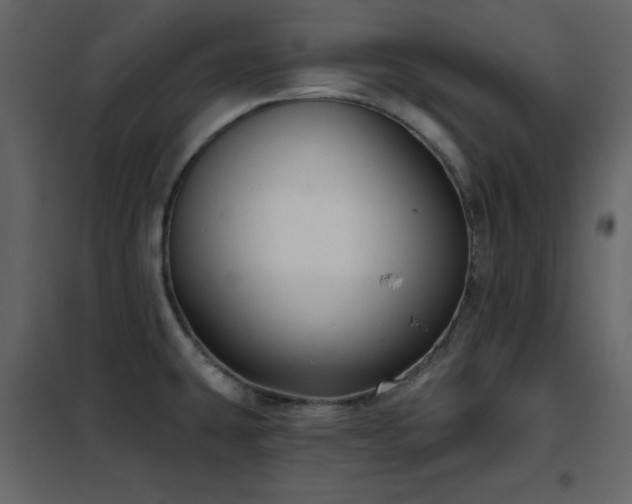 X0000102541431200808081511