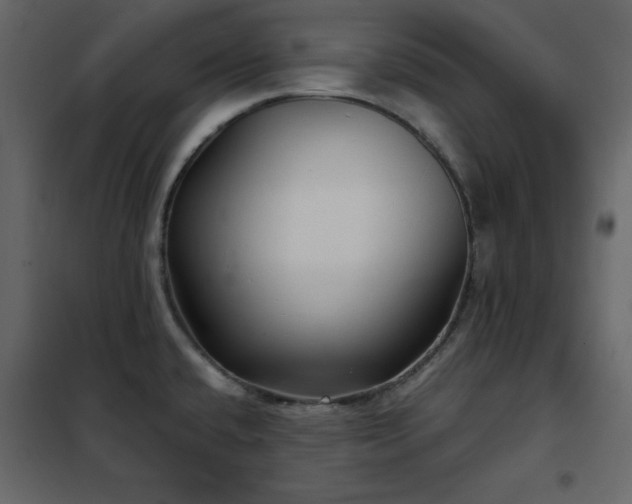 X0000102541432200808081511