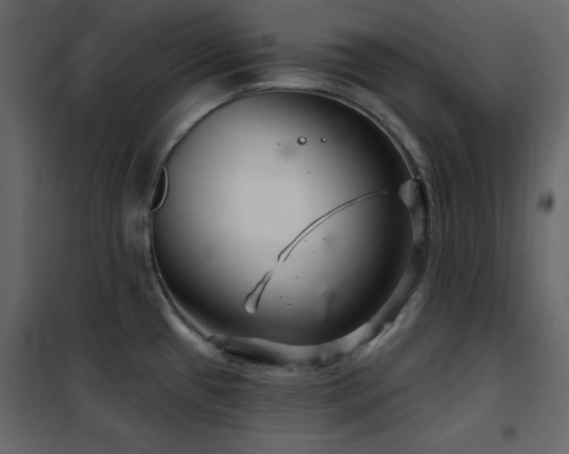 X0000102541433200808081511