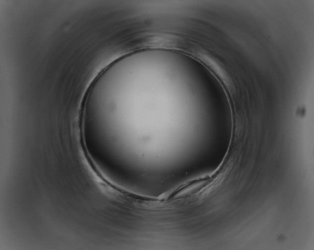 X0000102541434200808081511
