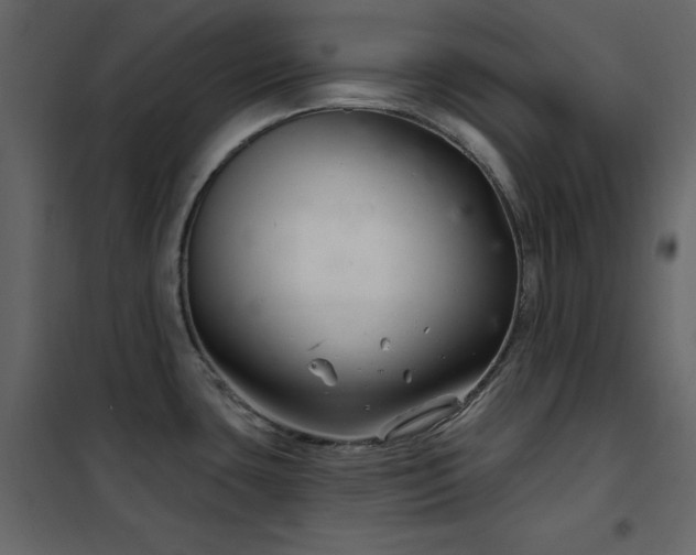 X0000102541435200808081511