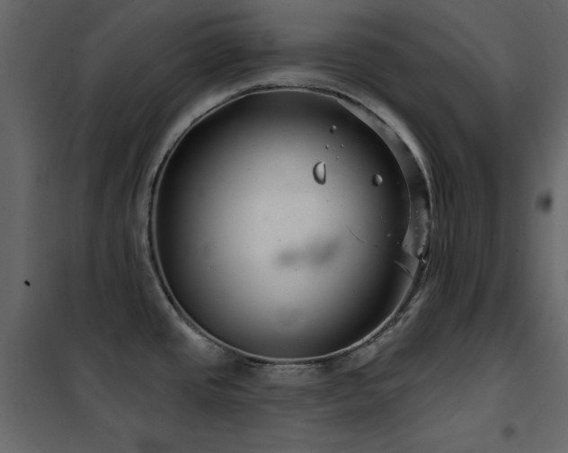 X0000102541437200808081511