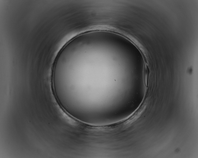 X0000102541438200808081511