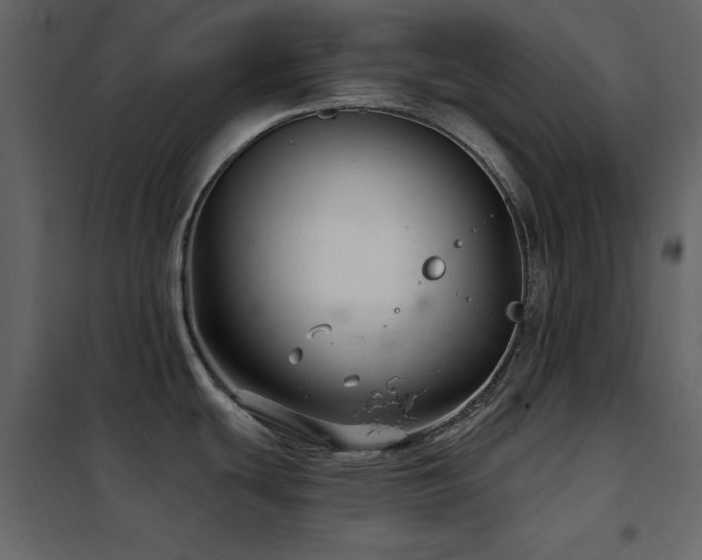 X0000102541439200808081511