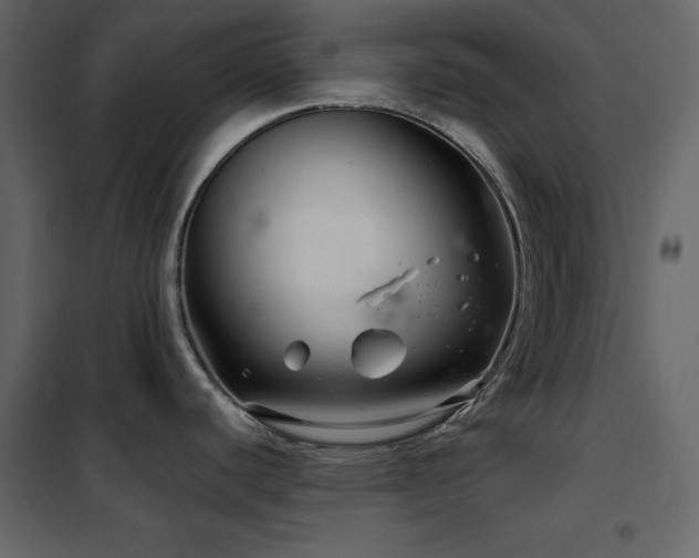 X0000102541440200808081511