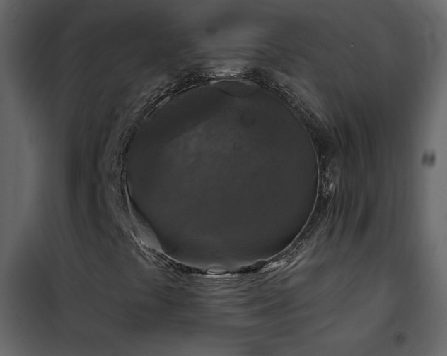 X0000102541441200808081510