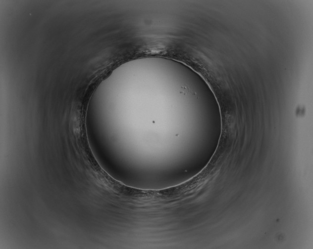X0000102541442200808081510