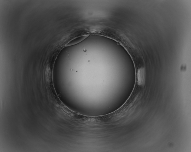 X0000102541443200808081510