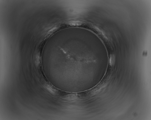 X0000102541444200808081510