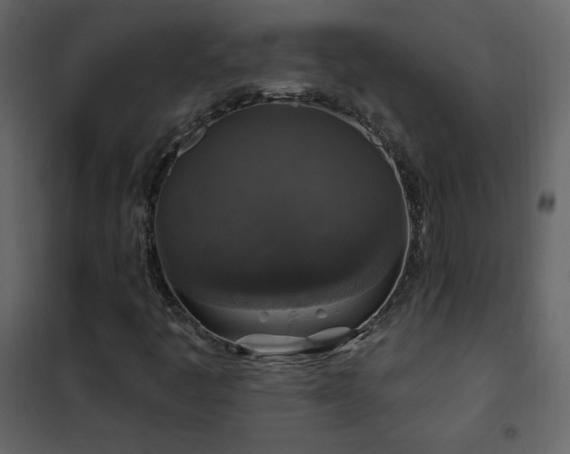 X0000102541445200808081510