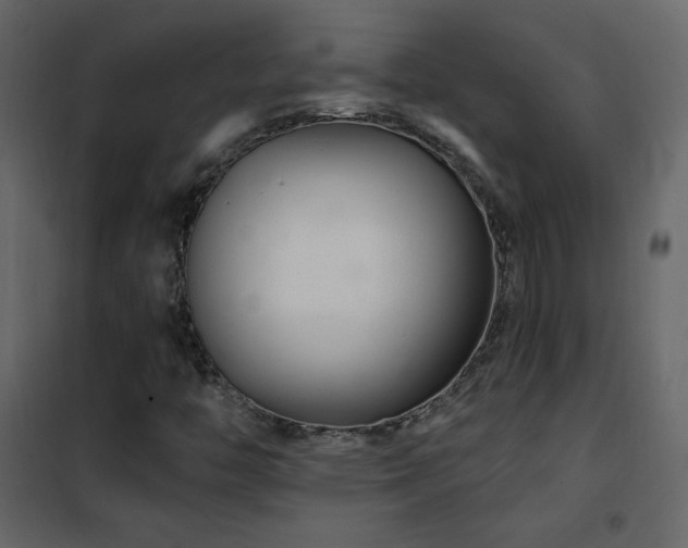 X0000102541446200808081510