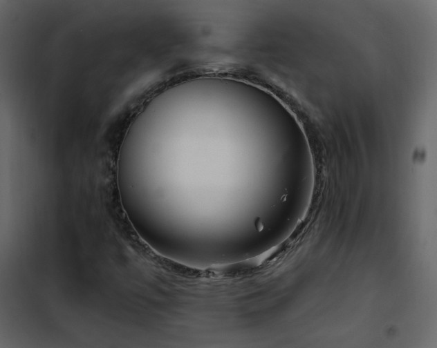 X0000102541447200808081510