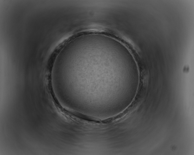 X0000102541448200808081510