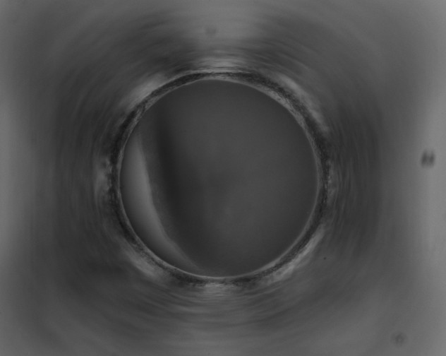 X0000102541449200808081510