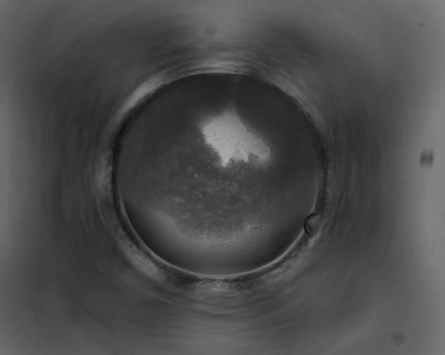 X0000102541450200808081510