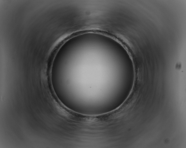 X0000102541452200808081510