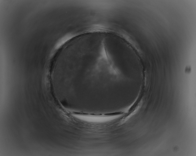 X0000102541453200808081510