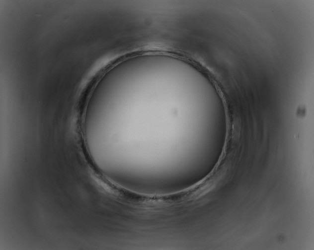 X0000102541454200808081510