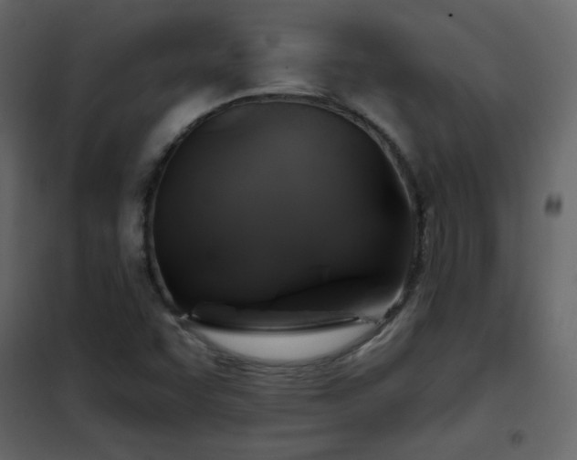 X0000102541455200808081510