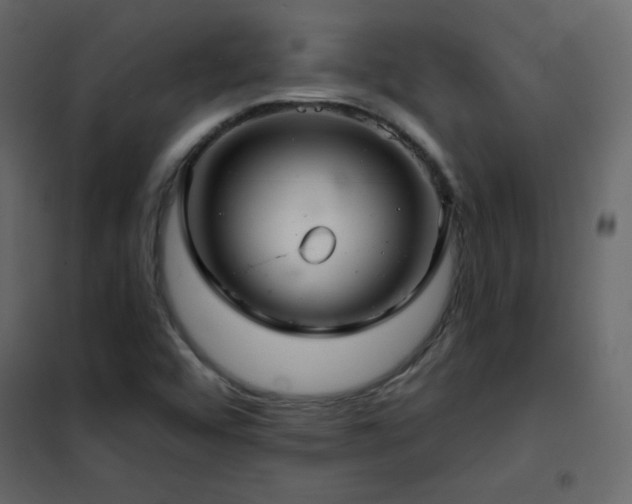 X0000102541456200808081510
