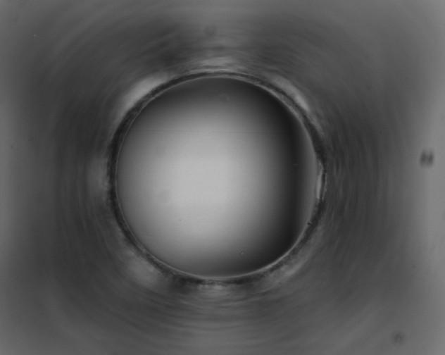 X0000102541458200808081510