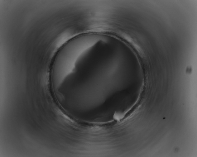 X0000102541459200808081510