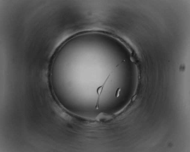 X0000102541460200808081510