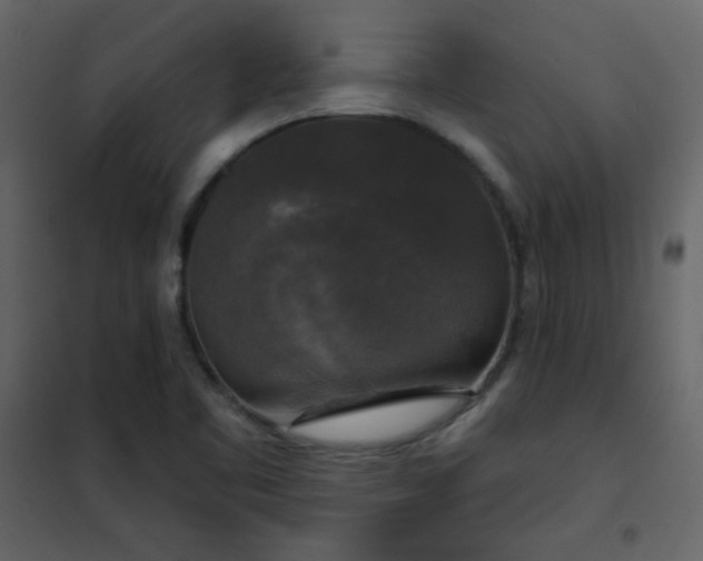 X0000102541461200808081510