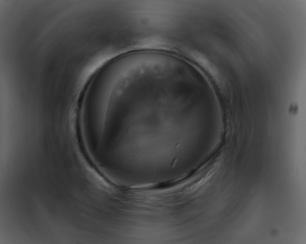 X0000102541463200808081510