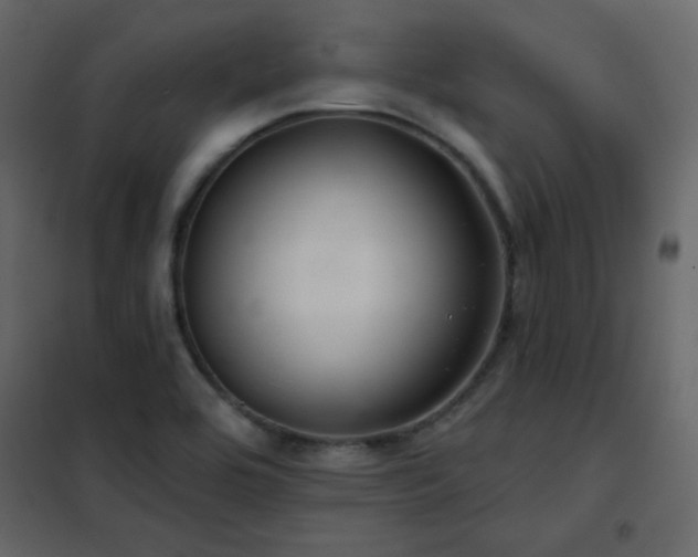 X0000102541464200808081510