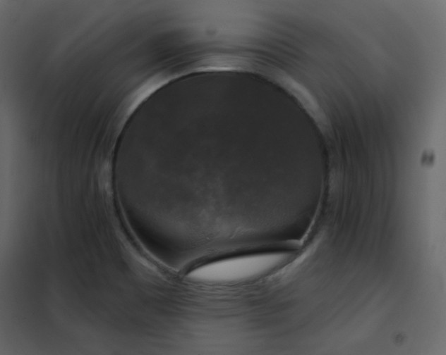 X0000102541465200808081510