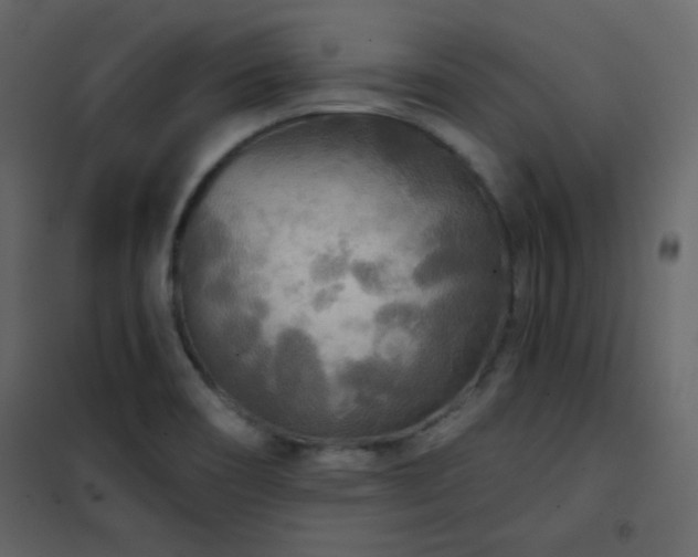 X0000102541466200808081510