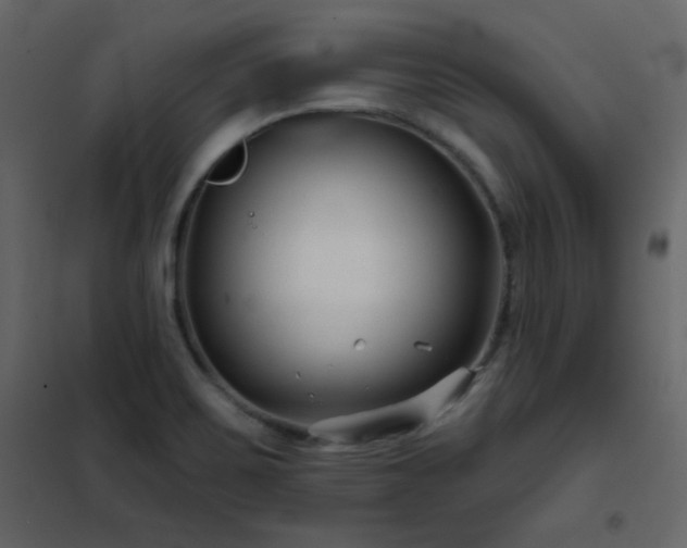 X0000102541467200808081510