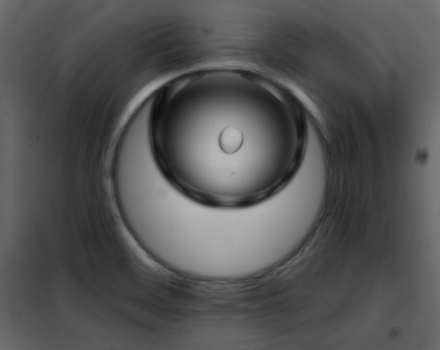 X0000102541468200808081510