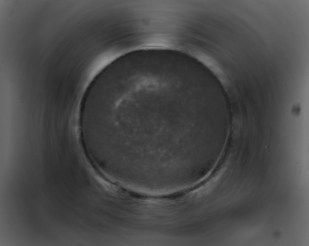 X0000102541469200808081510