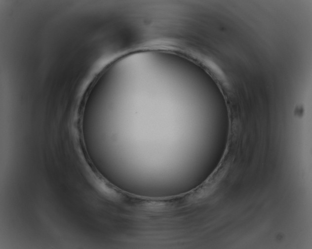 X0000102541470200808081510