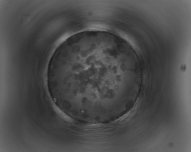 X0000102541471200808081510