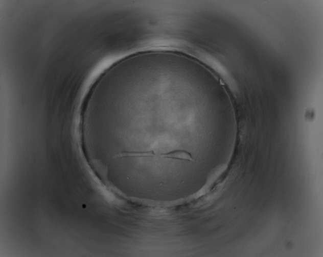 X0000102541472200808081510