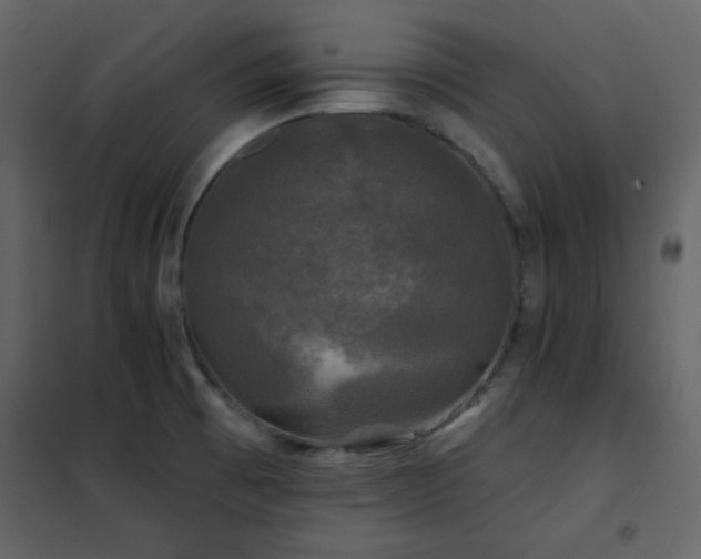 X0000102541473200808081510